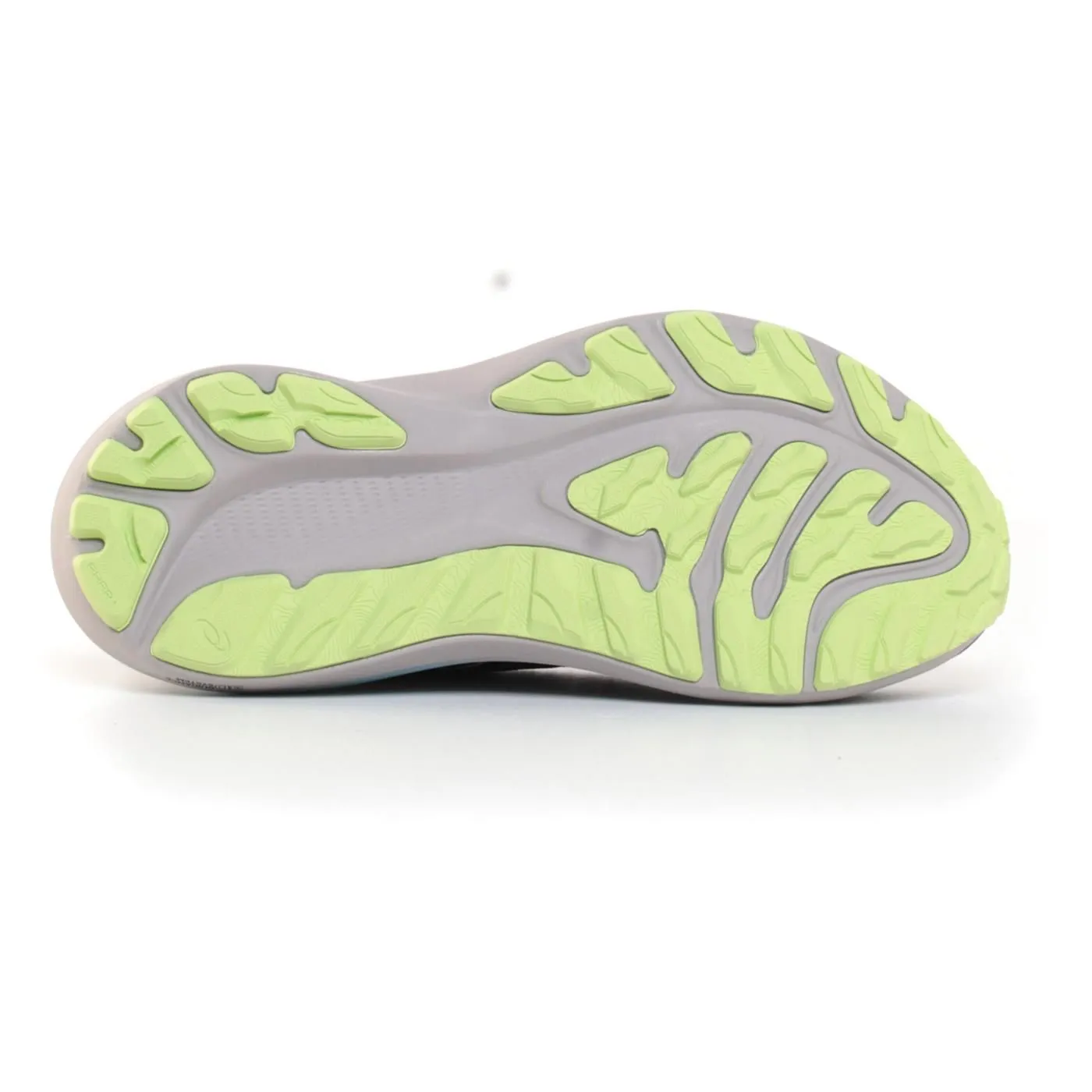     ASICS GT-2000 12 TR WOMAN 1012B587 200