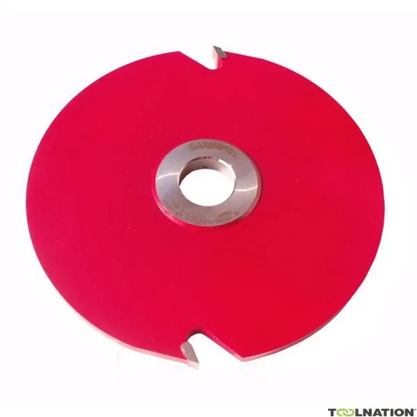 CMT TE302.36A.50.Z3 Scalpello a spillo 250 x 12 x 50 mm