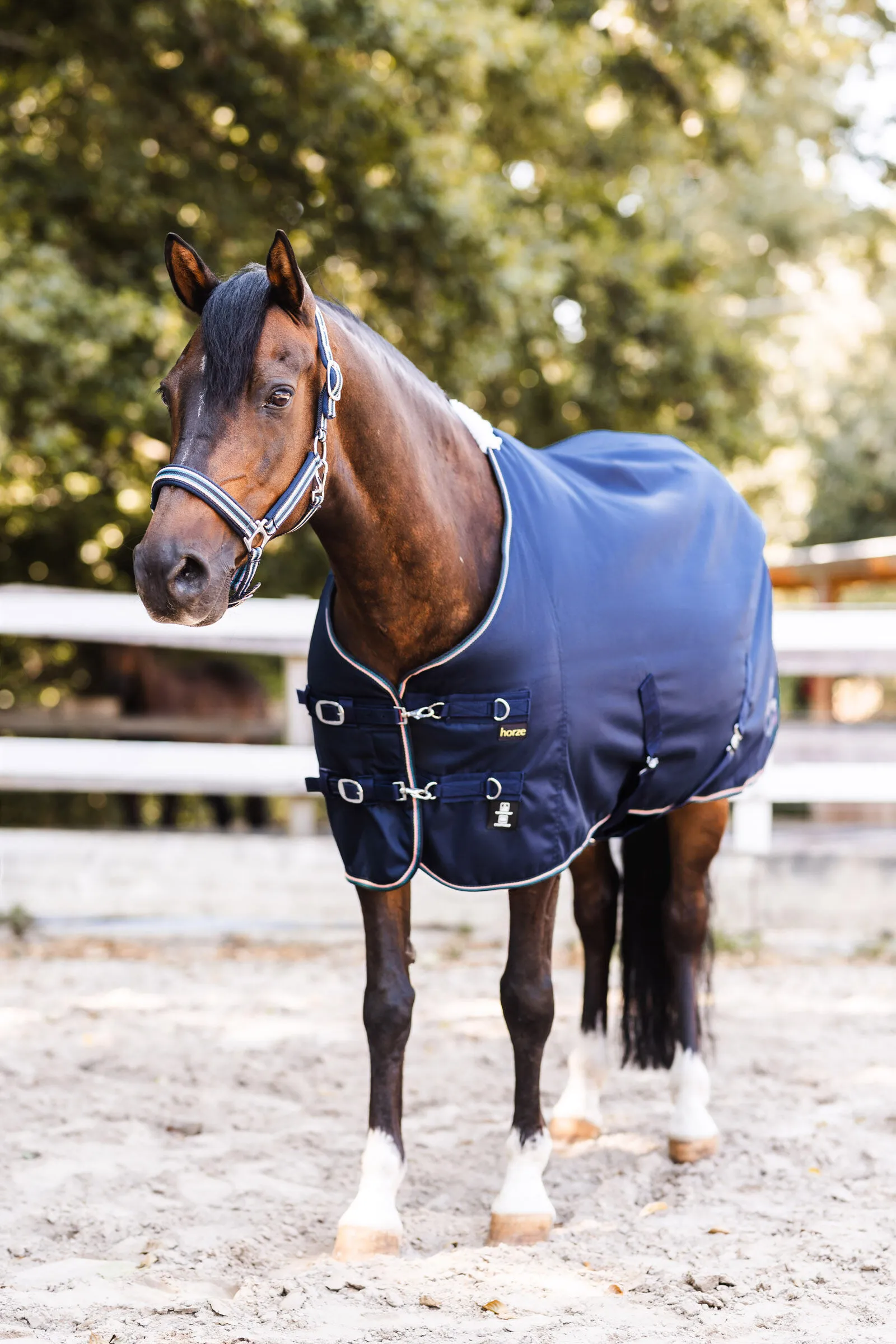 Horze Magic Carousel Parte 2 Coperta da turnout da 150 gr per pony