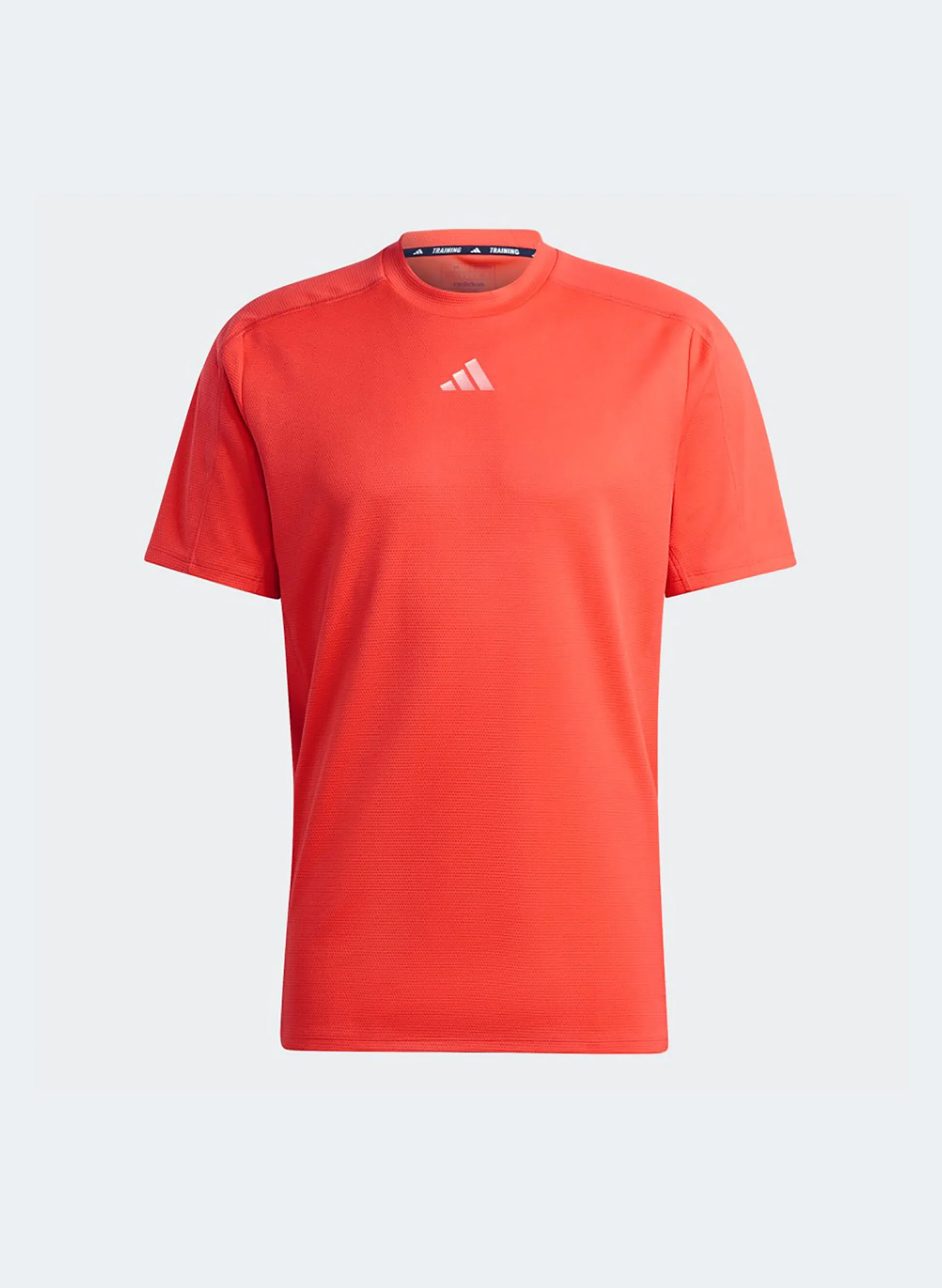 maglia workout entry