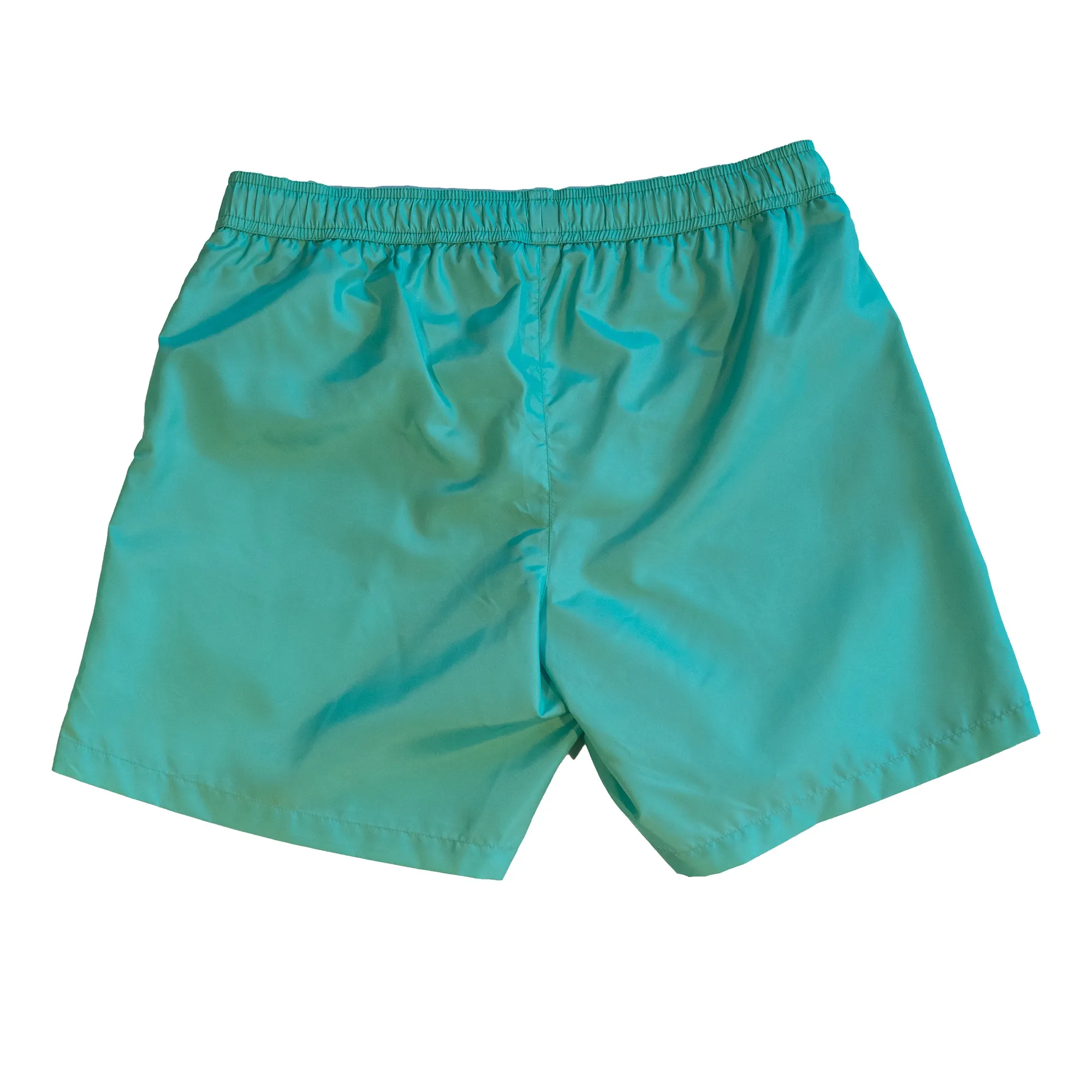 Seay  ---------    ------------Boxer Mare Medio Verde Acqua 