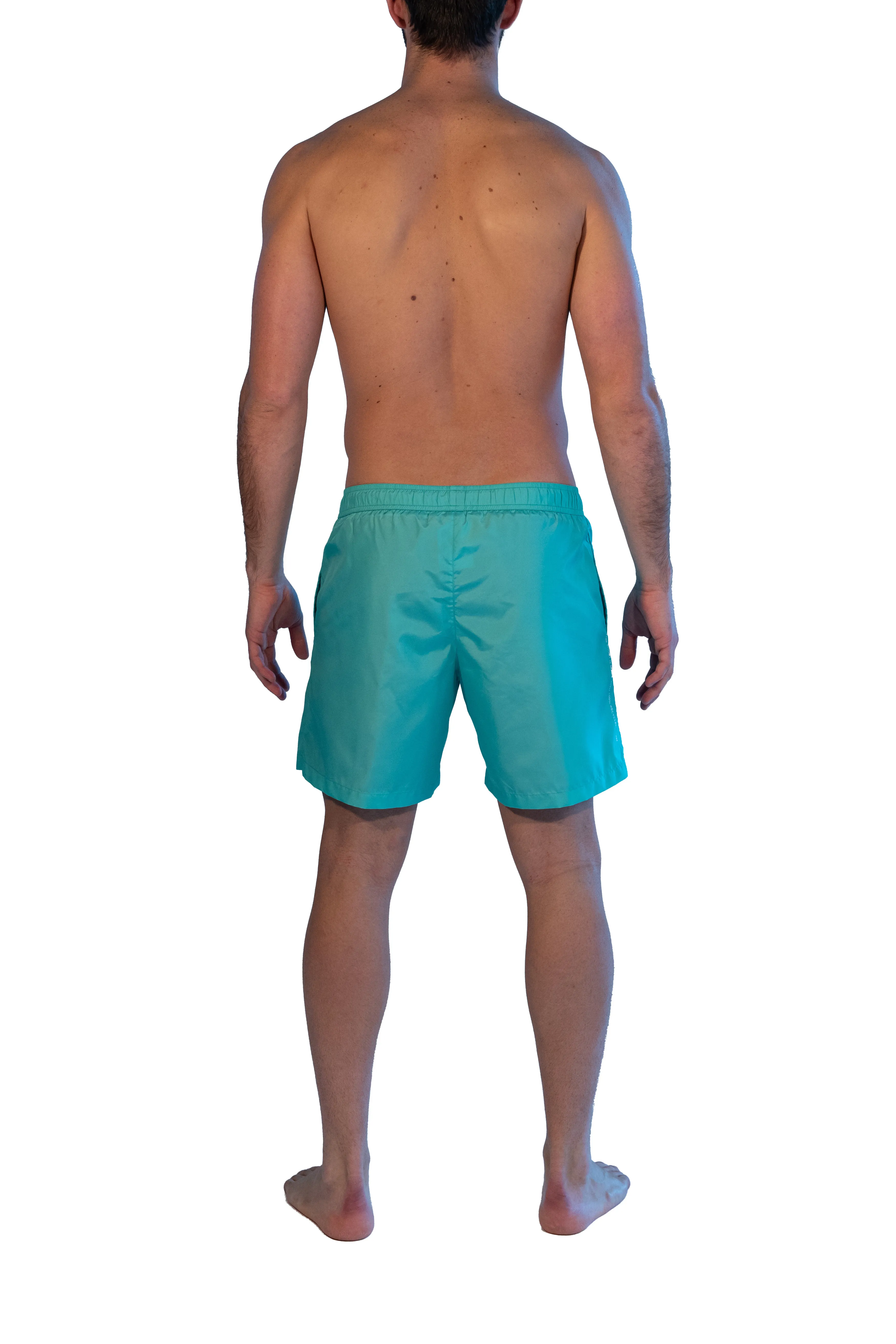 Seay  ---------    ------------Boxer Mare Medio Verde Acqua 