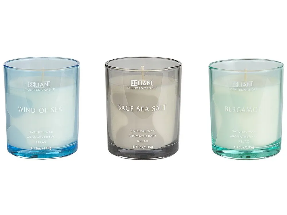 SHEER JOY Set di 3 Candele Profumate Cera di Soia Note fresche