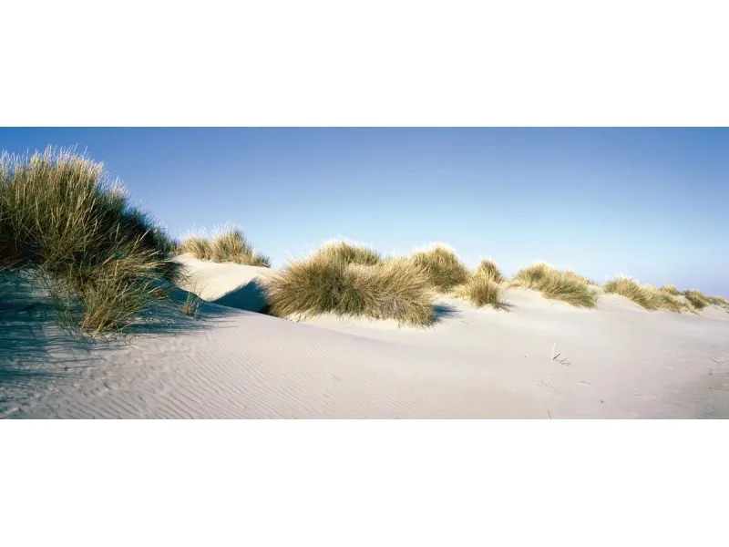 Stampa decorativa Deco Glass Endless Dunes 125 cm x 50 cm