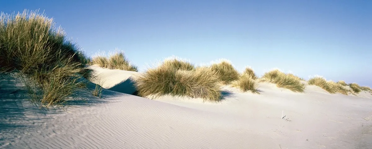 Stampa decorativa Deco Glass Endless Dunes 125 cm x 50 cm